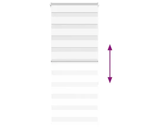 Žalūzijas Zebra 65X150 Cm Auduma Platums 60,9 Cm Poliesters Vidaxl