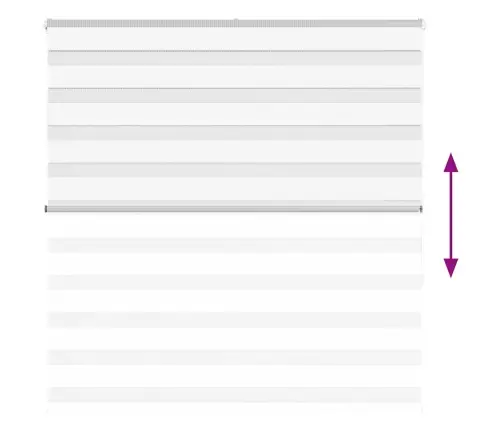 Žalūzijas Zebra 150X150 Cm Auduma Platums 145,9 Cm Poliesters Vidaxl