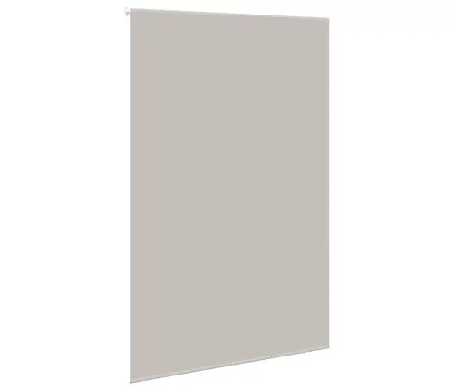 Rullo Žalūzija Dušai, 160X240 Cm, Auduma Platums 156 Cm Vidaxl