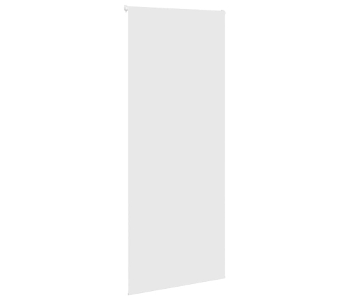 Rullo Žalūzija Dušai, 100X240 Cm, Auduma Platums 96 Cm Vidaxl