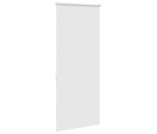 Rullo Žalūzija Dušai, 100X240 Cm, Auduma Platums 96 Cm Vidaxl