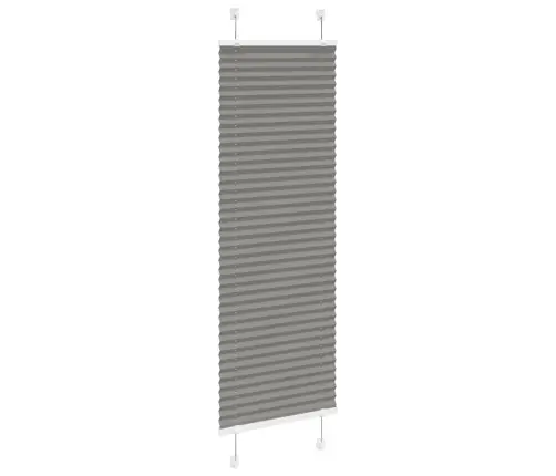 Plisētās Žalūzijas Antracīts 40X100 Cm Auduma Platums 39,4 Cm Vidaxl