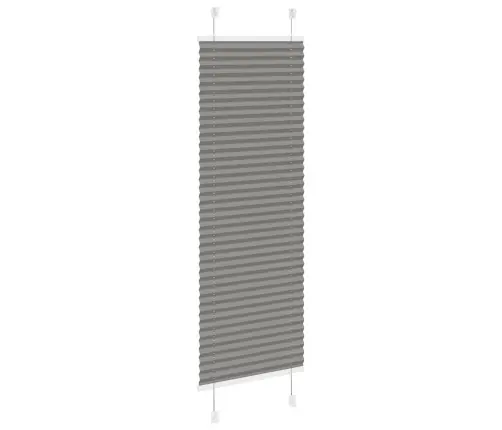 Plisētās Žalūzijas Antracīts 40X100 Cm Auduma Platums 39,4 Cm Vidaxl
