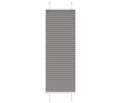 Plisētās Žalūzijas Antracīts 45X100 Cm Auduma Platums 44,4 Cm Vidaxl