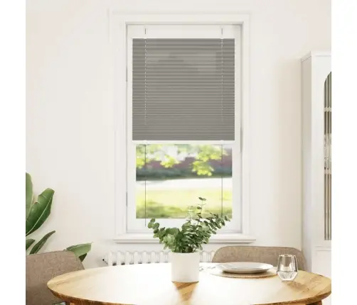 Plisētās Žalūzijas Antracīts 65X100 Cm Auduma Platums 64,4 Cm Vidaxl