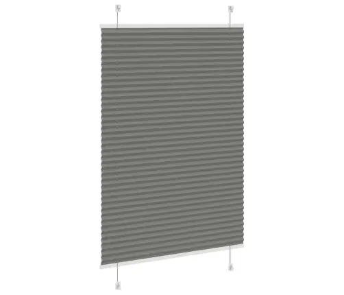 Plisētās Žalūzijas Antracīts 90X100 Cm Auduma Platums 89,4 Cm Vidaxl