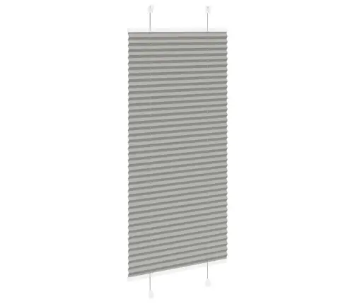 Plisētās Žalūzijas Antracīts 55X150 Cm Auduma Platums 54,4 Cm Vidaxl Plisētās Žalūzijas Antracīts 55X150 Cm Auduma Platums 54,4 Cm Vidaxl