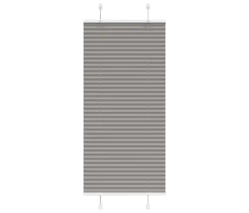 Plisētās Žalūzijas Antracīts 60X150 Cm Auduma Platums 59,4 Cm Vidaxl Plisētās Žalūzijas Antracīts 60X150 Cm Auduma Platums 59,4 Cm Vidaxl