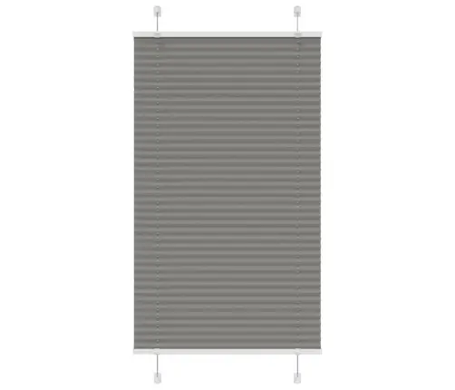 Plisētās Žalūzijas Antracīts 75X150 Cm Auduma Platums 74,4 Cm Vidaxl Plisētās Žalūzijas Antracīts 75X150 Cm Auduma Platums 74,4 Cm Vidaxl