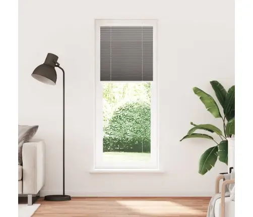 Plisētās Žalūzijas Antracīts 75X200 Cm Auduma Platums 74,4 Cm Vidaxl Plisētās Žalūzijas Antracīts 75X200 Cm Auduma Platums 74,4 Cm Vidaxl