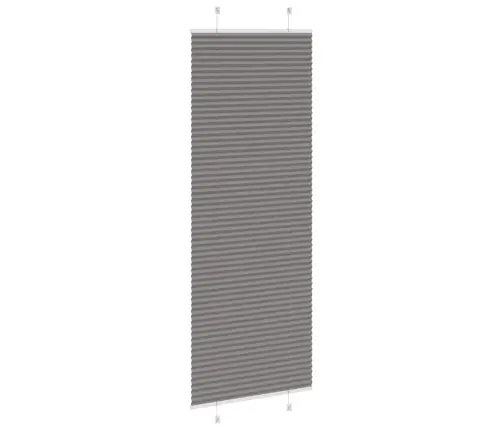 Plisētās Žalūzijas Antracīts 80X200 Cm Auduma Platums 79,4 Cm Vidaxl Plisētās Žalūzijas Antracīts 80X200 Cm Auduma Platums 79,4 Cm Vidaxl