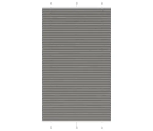 Plisētās Žalūzijas Antracīts 115X200 Cm Auduma Platums 114,4 Cm Vidaxl