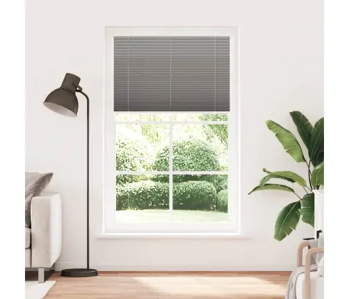 Plisētās Žalūzijas Antracīts 120X200 Cm Auduma Platums 119,4 Cm Vidaxl