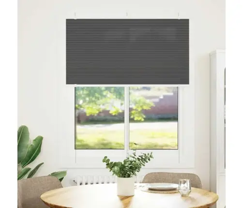 Plisuota Žaliuze Juoda 105X100 Cm Audinio Plotis 104,4 Cm