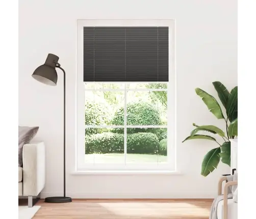 Plisuota Žaliuze Juoda 120X200 Cm Audinio Plotis 119,4 Cm