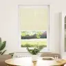 Plisēts Žalūziju Krēms 80X100 Cm Auduma Platums 79,4 Cm Vidaxl