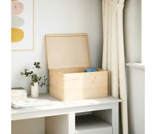 Koka Kaste Ar Vāku 40X30X23 Cm Priedes Masīvkoka Vidaxl