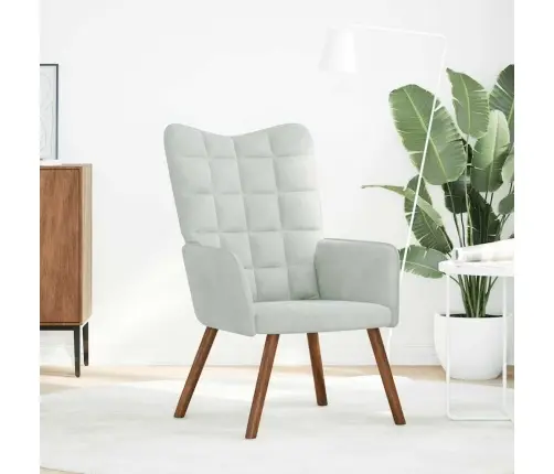 Poilsio Kėdė, Šviesiai Pilkos Spalvos, Aksomas Poilsio Kėdė, Šviesiai Pilkos Spalvos, Aksomas