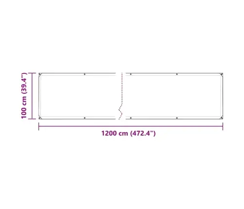 Caurspīdīgs Brezents Ar Cilpām 1X12 M Polietilēns Vidaxl