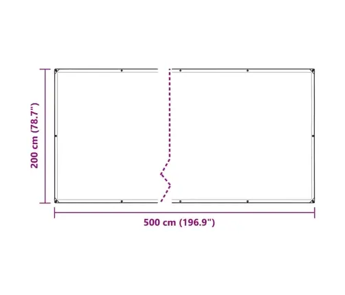 Caurspīdīgs Brezents Ar Cilpām 2X5 M Polietilēns Vidaxl