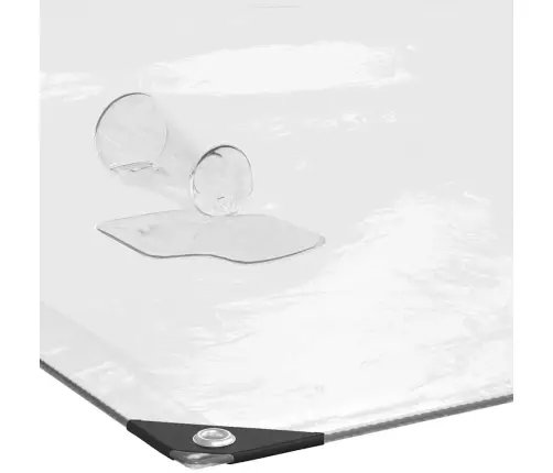 Caurspīdīgs Brezents Ar Cilpām 2X12 M Polietilēns Vidaxl