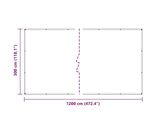 Caurspīdīgs Brezents Ar Cilpām 3X12 M Polietilēns Vidaxl