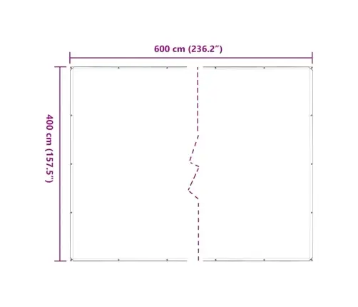 Läbipaistev Aasadega Present 4X6 M Polüetüleen