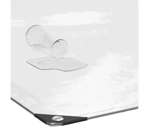 Caurspīdīgs Brezents Ar Cilpām 5X6 M Polietilēns Vidaxl