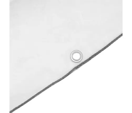 Caurspīdīgs Brezents Ar Cilpām 5X8 M Polietilēns Vidaxl