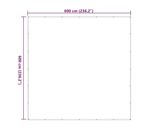 Caurspīdīgs Brezents Ar Cilpām 6X6 M Polietilēns Vidaxl