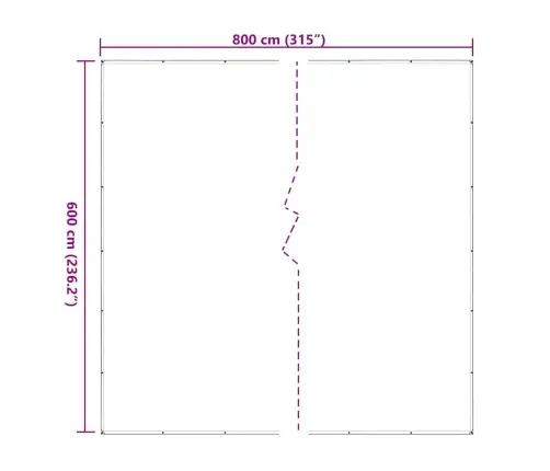 Läbipaistev Present Aasadega 6X8 M Polüetüleen