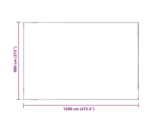 Caurspīdīgs Brezents Ar Cilpām 8X12 M Polietilēns Vidaxl
