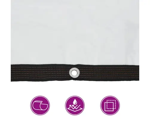 Caurspīdīgs Brezents Ar Cilpām 2X5 M Polietilēns Vidaxl