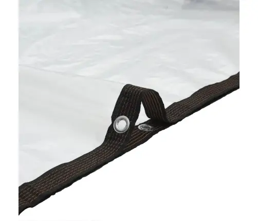 Caurspīdīgs Brezents Ar Cilpām 3X5 M Polietilēns Vidaxl