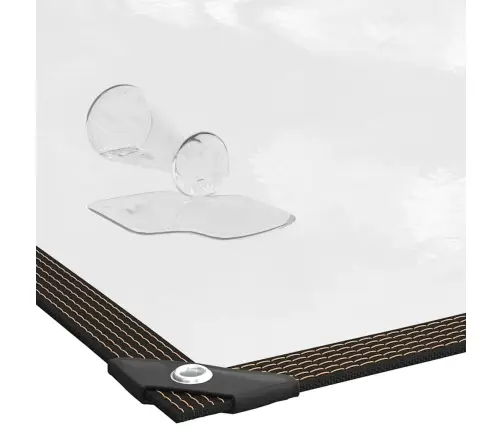 Läbipaistev Aasadega Present 4X6 M Polüetüleen