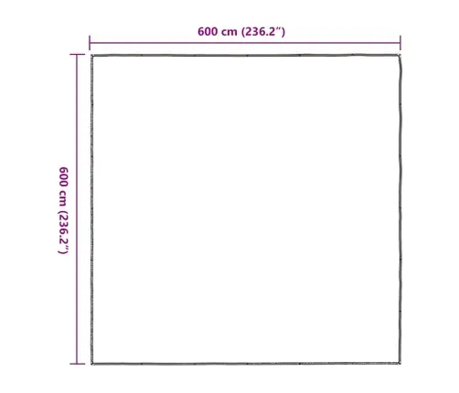Läbipaistev Present Aasadega 6X6 M Polüetüleen