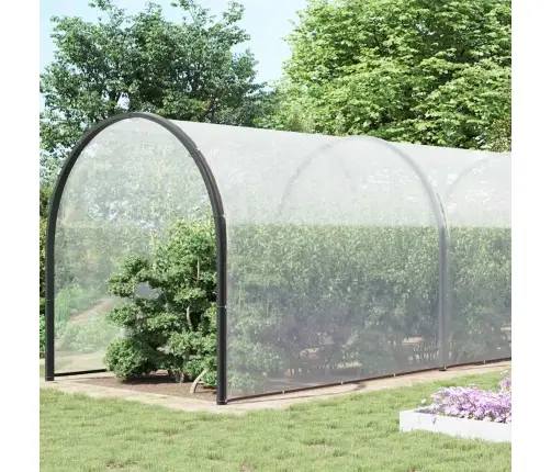 Läbipaistev Present Aasadega 8X12 M Polüetüleen