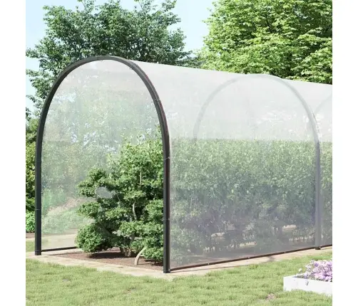 Läbipaistev Aasadega Present 10X12 M Polüetüleen