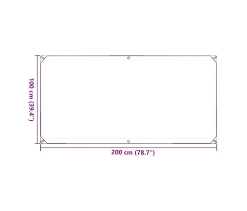 Caurspīdīgs Brezents Ar Cilpām 1X2 M Pvc Vidaxl