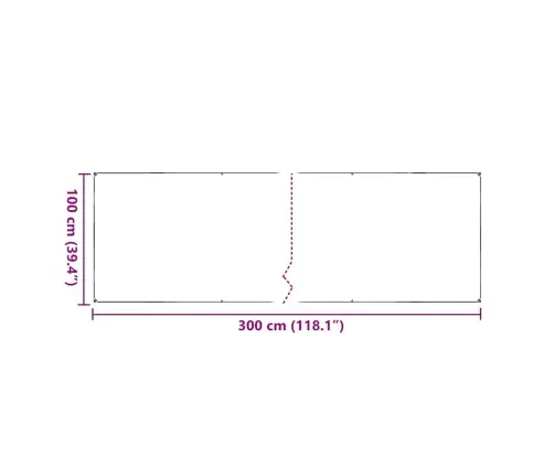 Caurspīdīgs Brezents Ar Cilpām 1X3 M Pvc Vidaxl