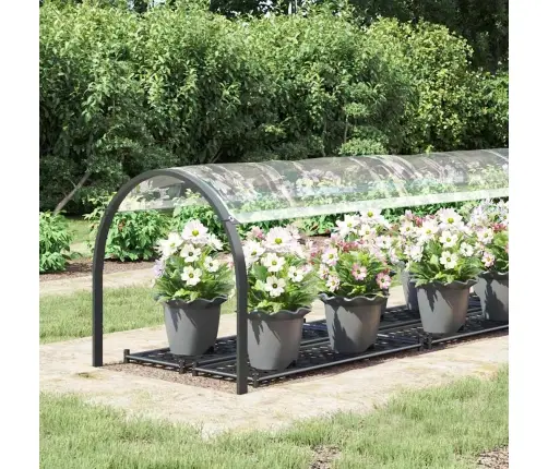 Caurspīdīgs Brezents Ar Cilpām 1X4 M Pvc Vidaxl