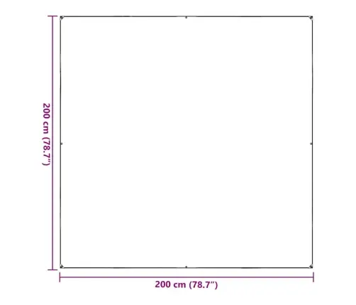 Läbipaistev Presenning Aasadega 2 X 2 M Pvc