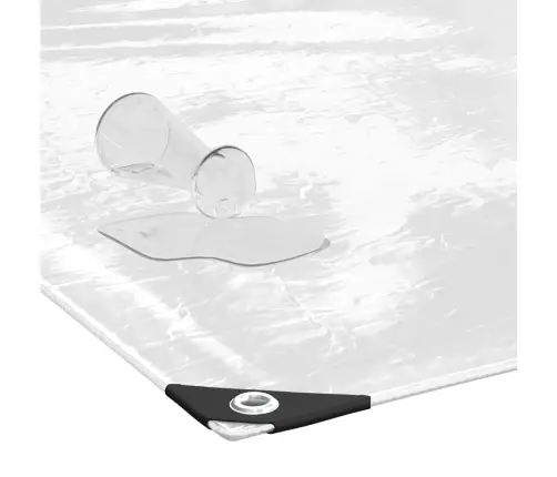Caurspīdīgs Brezents Ar Cilpām 2X4 M Pvc Vidaxl