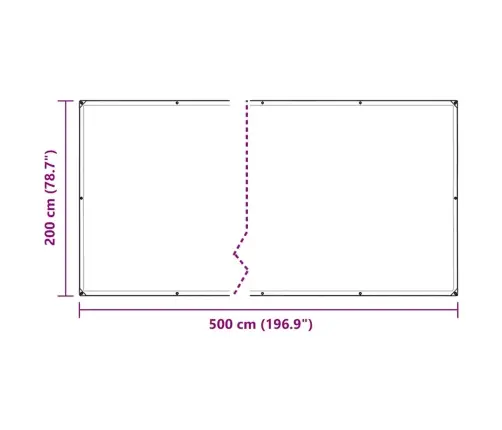 Caurspīdīgs Brezents Ar Cilpām 2X5 M Pvc Vidaxl