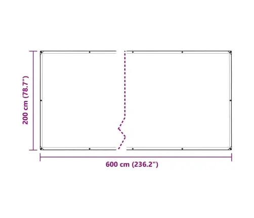 Skaidrus Brezentas Su Ąselėmis 2X6 M Pvc