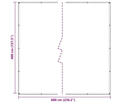 Caurspīdīgs Brezents Ar Cilpām 4X6 M Pvc Vidaxl