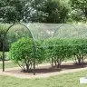 Skaidrus Brezentas Su Ąselėmis 4X12 M Pvc