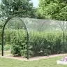 Caurspīdīgs Brezents Ar Cilpām 5X12 M Pvc Vidaxl