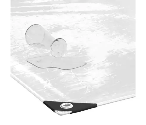 Caurspīdīgs Brezents Ar Cilpām 5X12 M Pvc Vidaxl