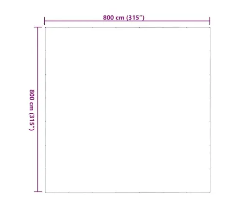 Läbipaistev Present Aasadega 8X8 M Pvc